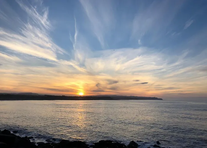 Jonstone Pines * Scarborough